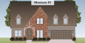 Montana 4